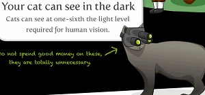 猫は人間の6倍の暗さでも瞬時に物を見れます