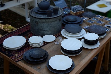 NDF_7089_60272