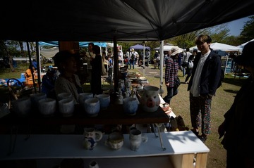 NDF_9042_44352