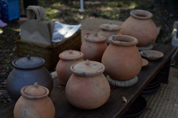 NDF_7179_60349