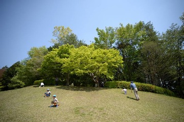 NDF_9236_44521