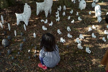 NDF_7064_60249