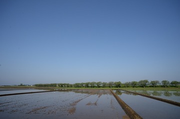 NDF_9175_44465