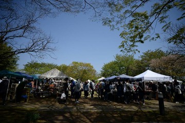 NDF_9041_44351