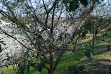 NDF_7101_60283