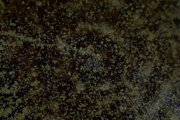 s-NDF_9924_44891