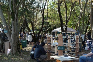 NDF_7036_60223