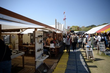 NDF_9281_44555