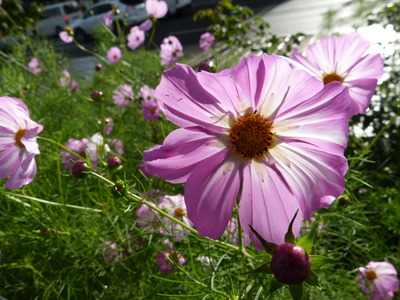 P1330466