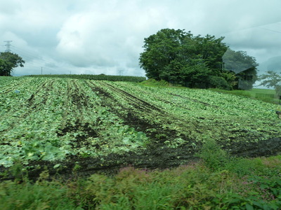P1330279