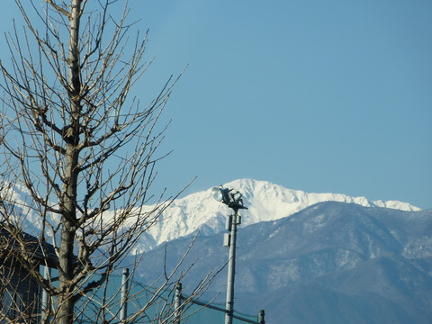 P1260574
