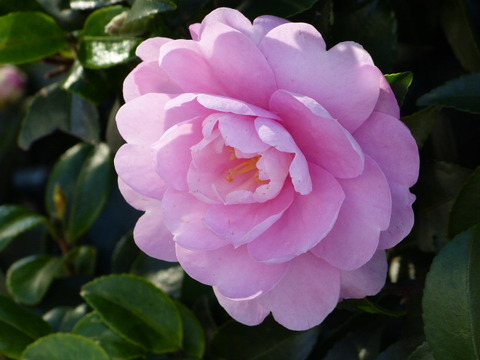 P1230138