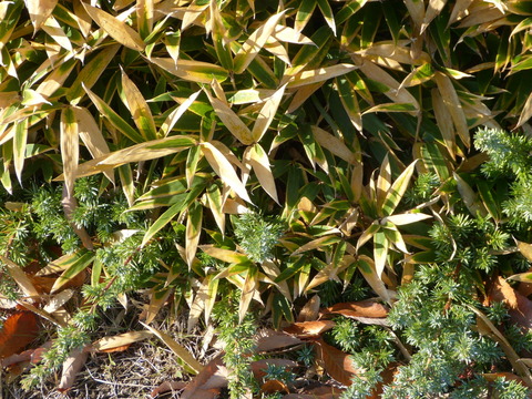 P1260581