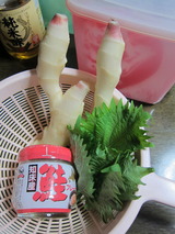 画像 1102