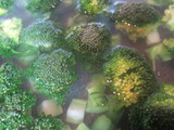 画像 230