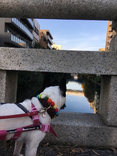 べぇべぇ
