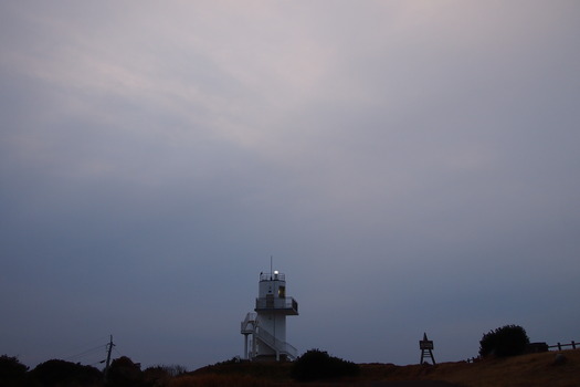 P1291087