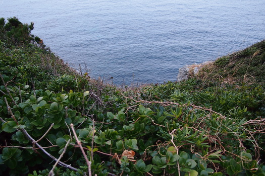 P1291086