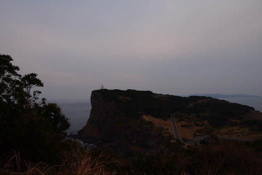 P1291071