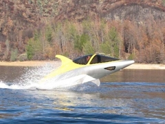 Dolphin