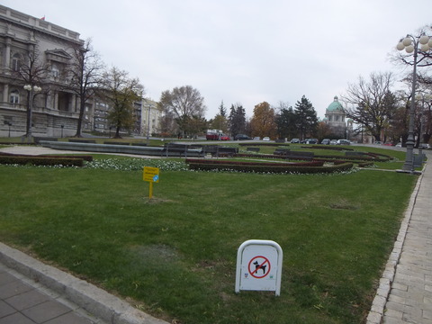 DSCF0449