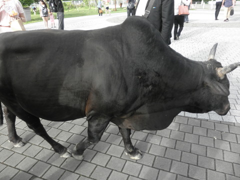 P7060039