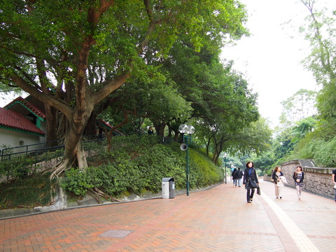 香港と色々 160