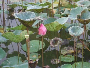 image20