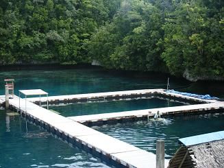 PALAU 077