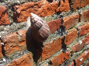 image47