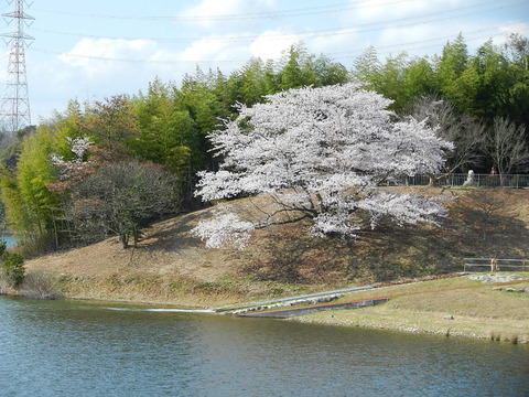 2014-04-05 ジャンベであそぼ! 003