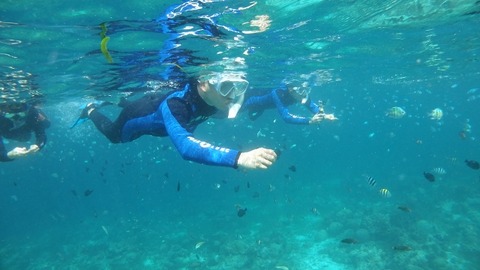 P1150003 (640x360)