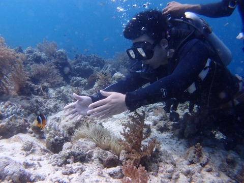 P3089148 (640x480)