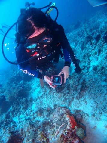 P3263479 (480x640)