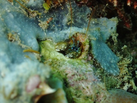 P1190020 (640x480)