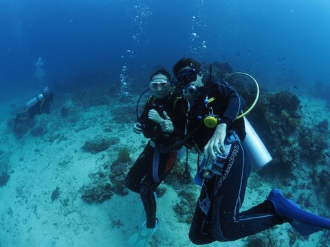 P8140387 (640x480)