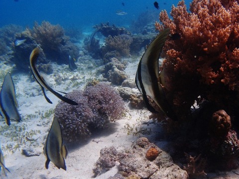 P1014513 (640x479)
