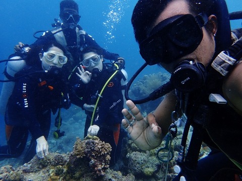P6120582 (640x480)