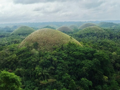 CEBU_190129_0006 (640x480)
