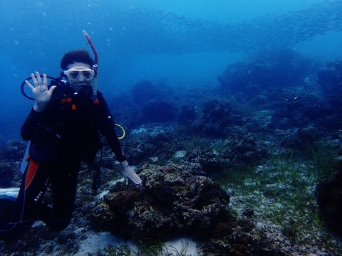 P7280009 (640x480)