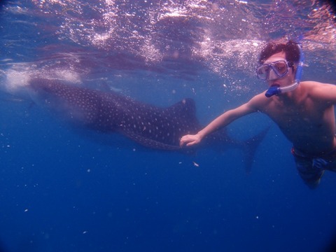 P3128893 (640x480)