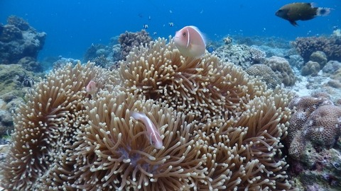 P1150098 (640x360)