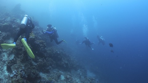 P8121359 (640x360)