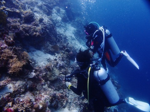 P1015375 (640x480)