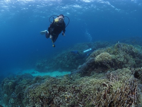 P8140399 (640x480)