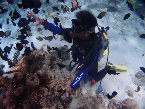 P8285450 (640x480)