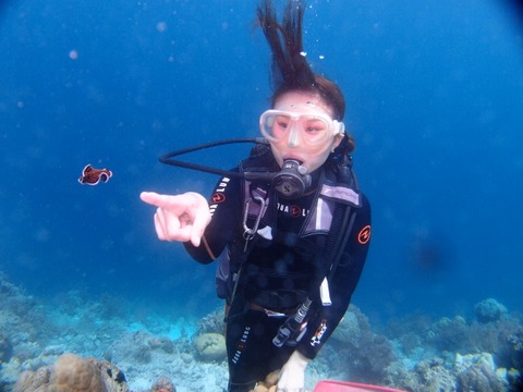 P3263419 (640x480)