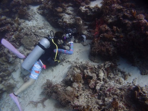 PC317406 (640x480)
