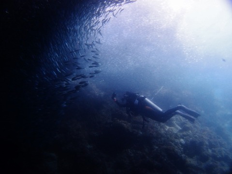 P1015553 (640x480)