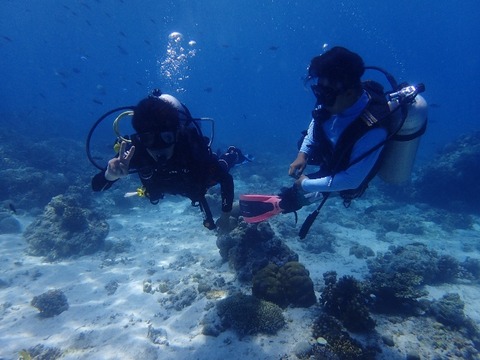 P4230559 (640x480)